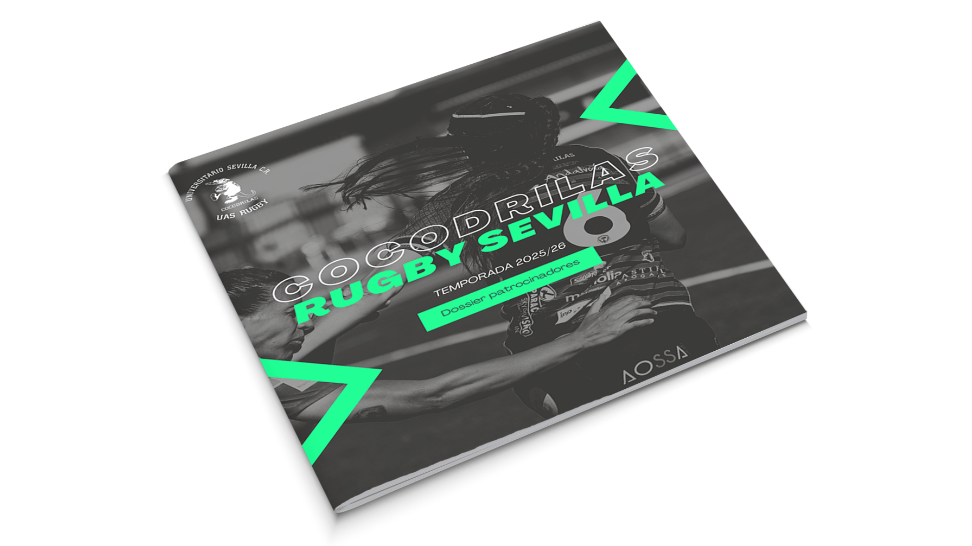 Manuales corporativos